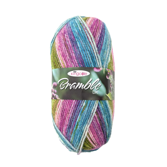 King Cole Bramble DK Yarn in 6512 - Bilberry - 100g Ball of Self Striping Wool