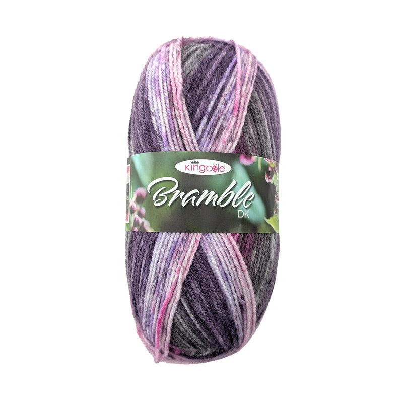 King Cole Bramble DK Yarn in 6511 - Damson - 100g Ball of Self Striping Wool