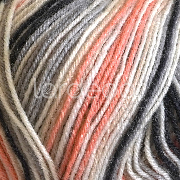 James-C-Brett-Funny-Feetz-4Ply-Sock-Yarn-FZB14-closeup