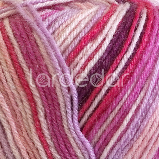 James-C-Brett-Funny-Feetz-4Ply-Sock-Yarn-FZB16-closeup