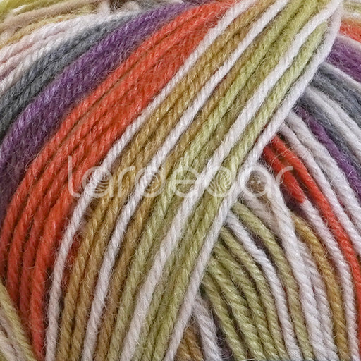 James-C-Brett-Funny-Feetz-4Ply-Sock-Yarn-FZB18-closeup